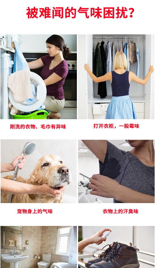 衣物煥新香 探索持久留香型多用途洗護產(chǎn)品的魅力